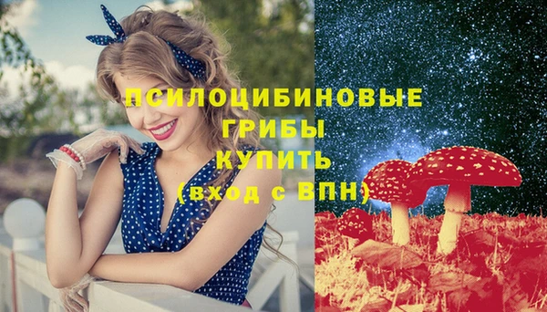 spice Зеленодольск