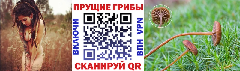 Галлюциногенные грибы MAGIC MUSHROOMS Ишимбай