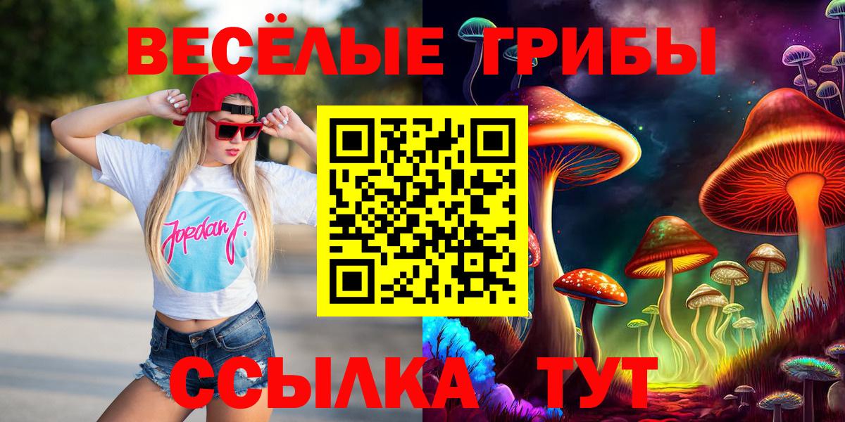 Галлюциногенные грибы мицелий Ишимбай