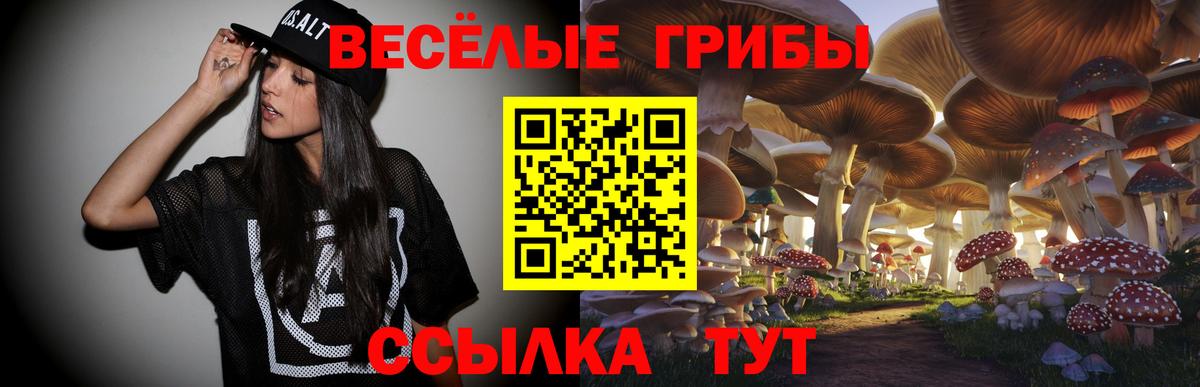Псилоцибиновые грибы мицелий  Псилоцибиновые грибы прущие грибы  Ишимбай  Вход с VPN 